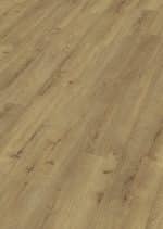 LD 250 Champagne oak 07001 – imagine 2