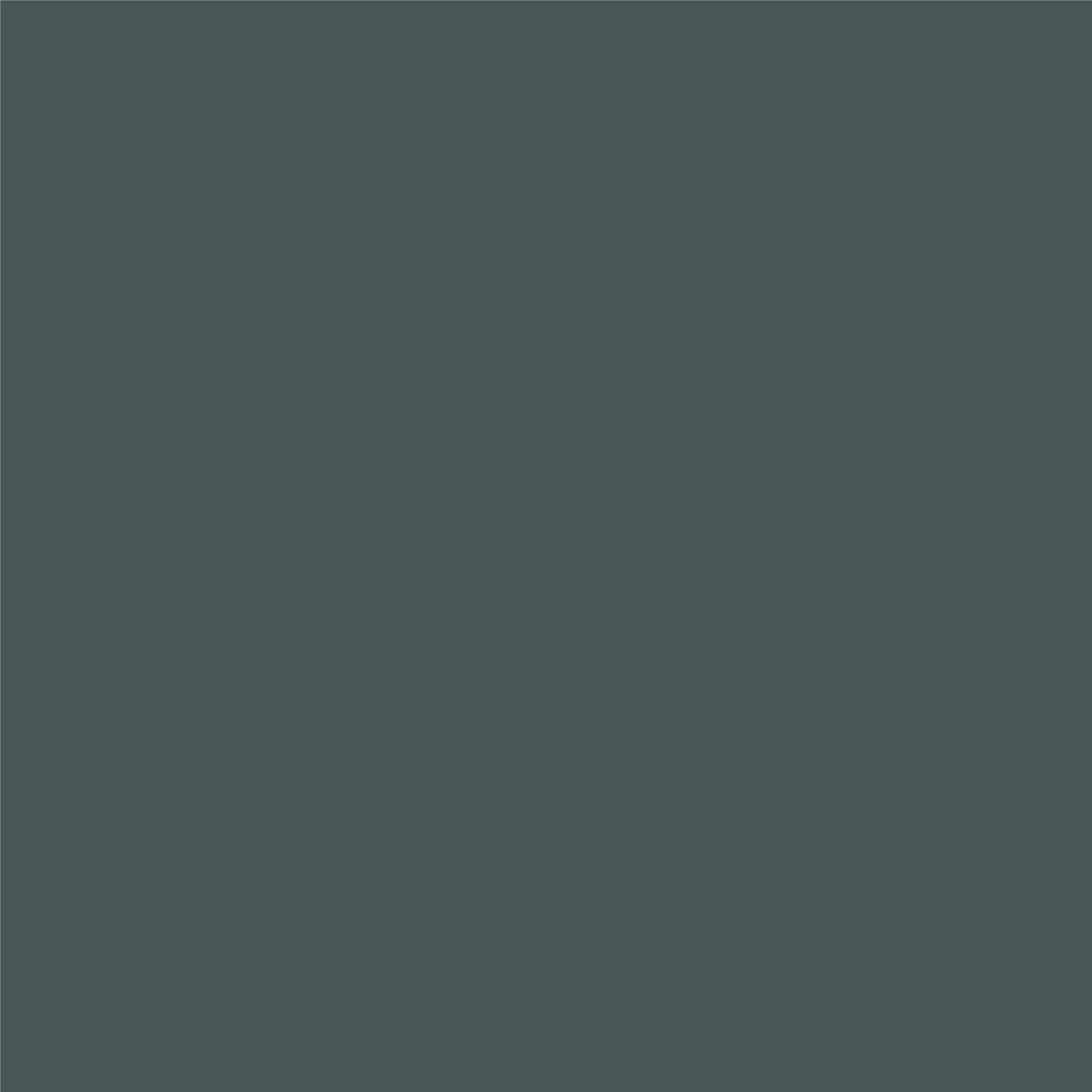 Finisaj MONO3 Pol-Skone culoare 0N6 NCS s 7000-N mat
