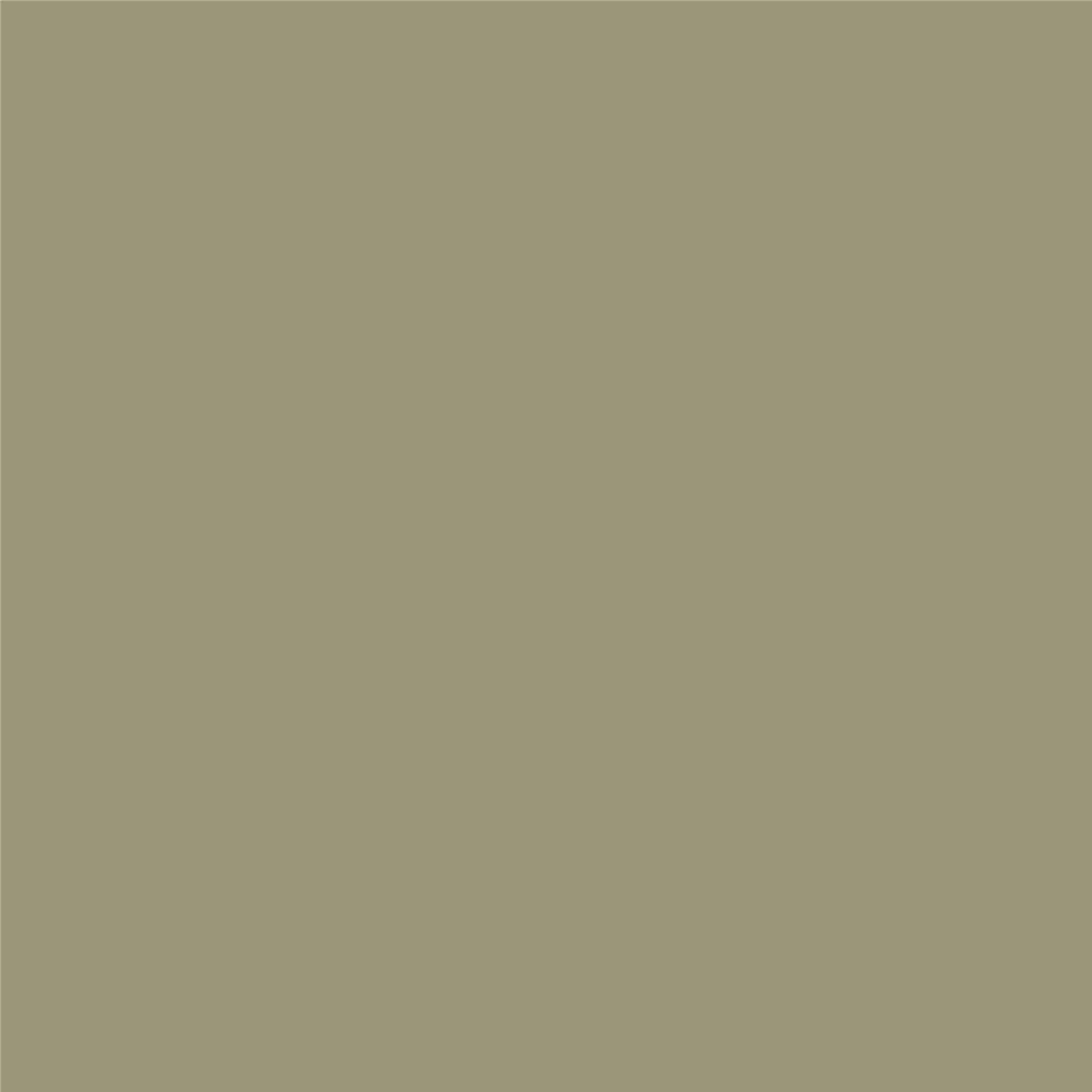 Finisaj MONO3 Pol-Skone culoare 0N8 RAL 1019 mat