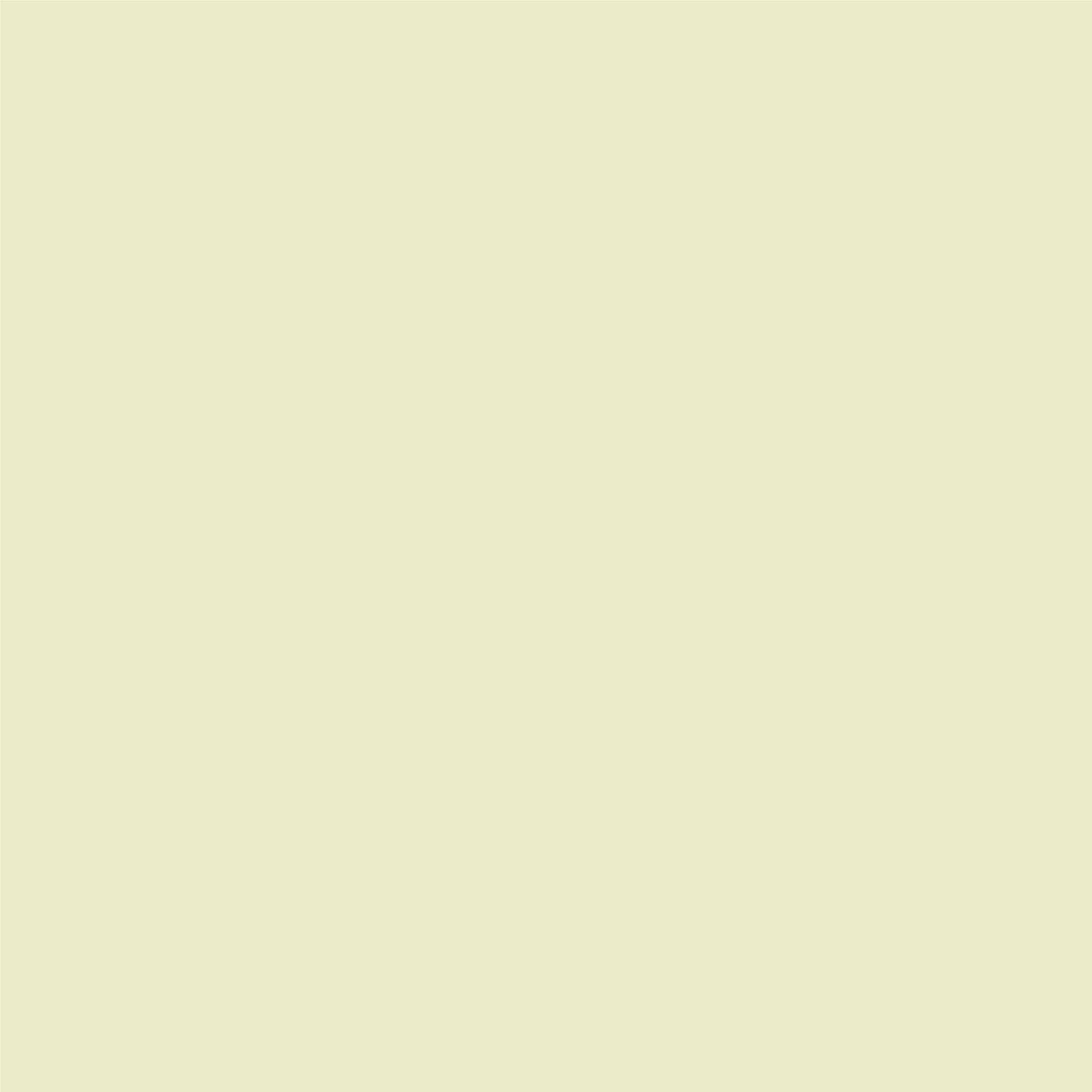 Finisaj MONO3 Pol-Skone culoare 0N9 RAL 1013 mat