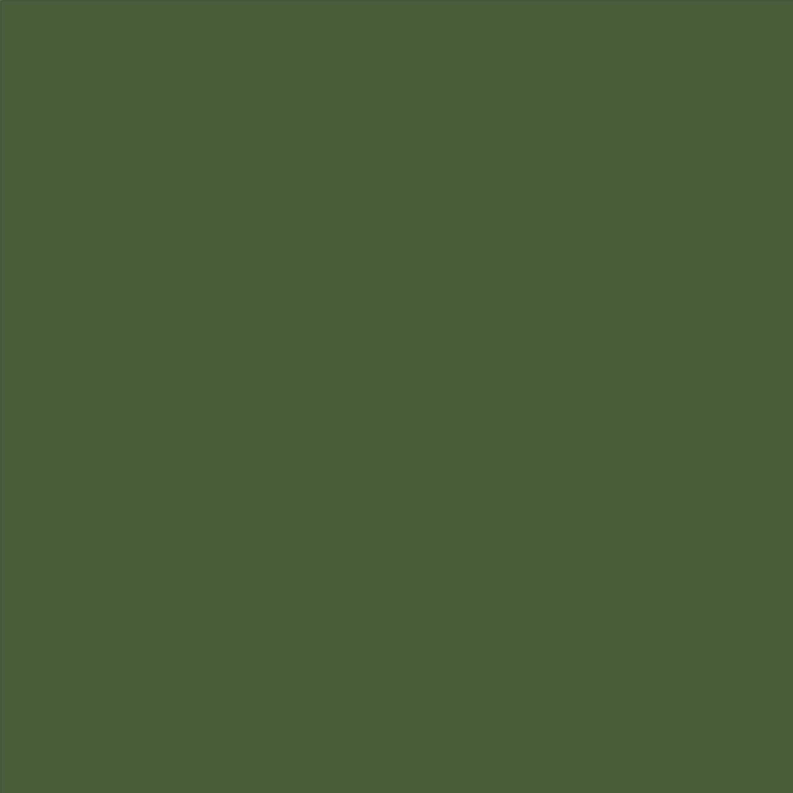 Finisaj MONO3 Pol-Skone culoare 0NA RAL 6003 mat