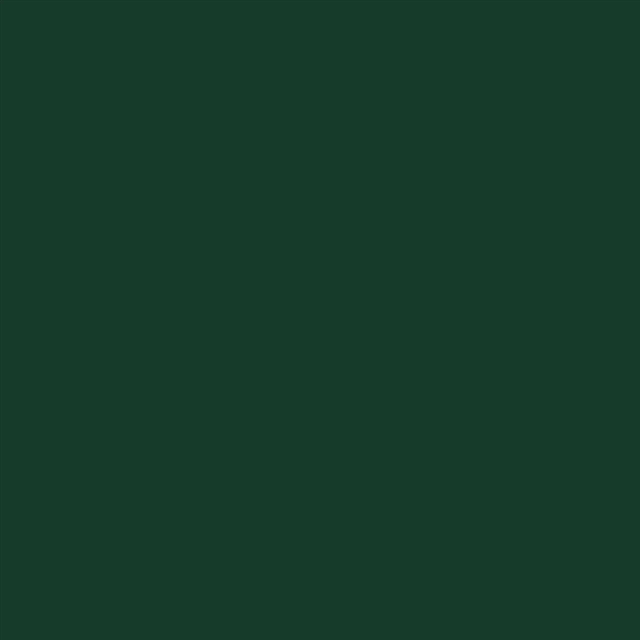 Finisaj MONO3 Pol-Skone culoare 0NC RAL 6012 mat