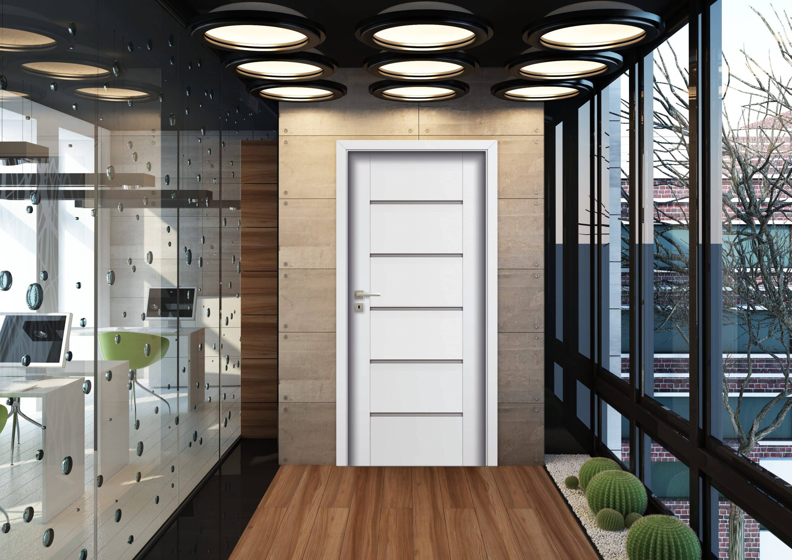 Ambient business design interior cu ușă de interior Esto Pol-Skone